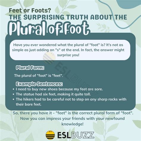 Plural of Foot The Ultimate Guide to Understanding English Grammar