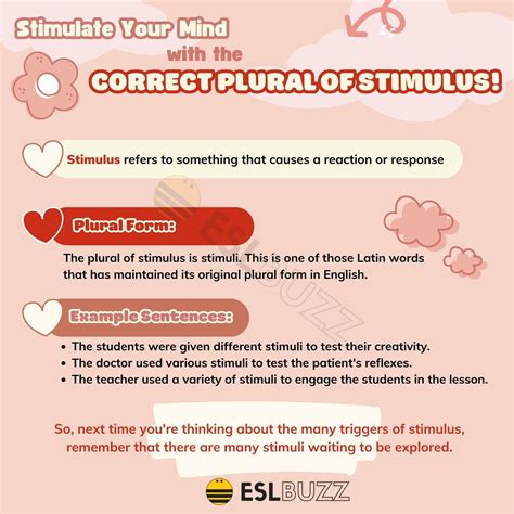 Plural of Stimulus to Stimulate Your Grammar Knowledge ESLBUZZ