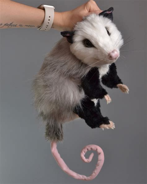 💋 PORN Plushopossum Onlyfans Leak