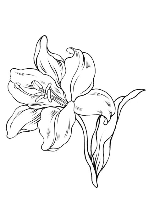 Disney Coloring Pages Free To Print