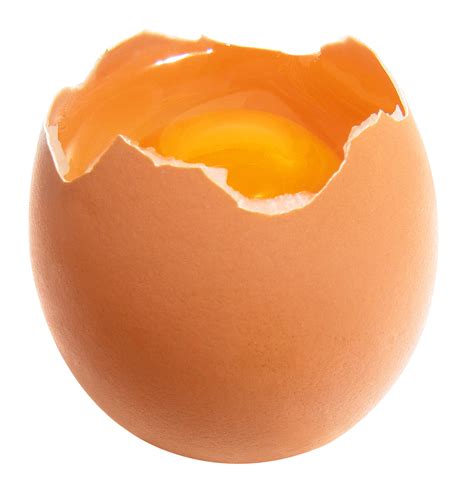 Png egg