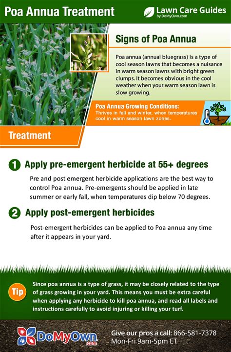 Poa annua killer. Nov 10, 2014 ... One of the most effective postemergence herbicide that I worked with has been Prograss (ethofumesate). This product is very effective at taking ... 