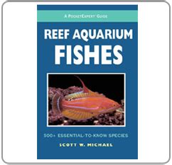 Pocket expert guide to reef aquarium fishes. - Tcpip sockets in java second edition practical guide for programmers the practical guides.