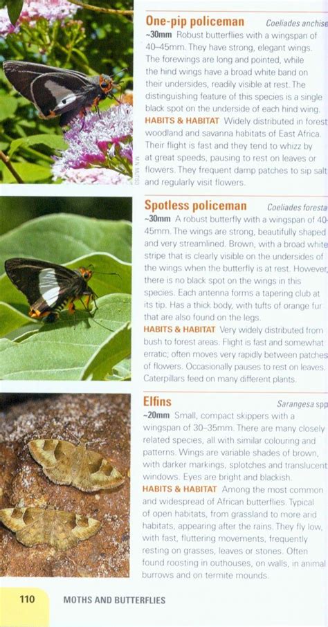 Pocket guide insects of east africa. - Frühbronzezeittiche ansiedlung in der bleiche bei arbon tg..