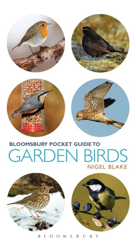 Pocket guide to garden birds pocket guides. - Manuale di doppio servizio medrad stellant.