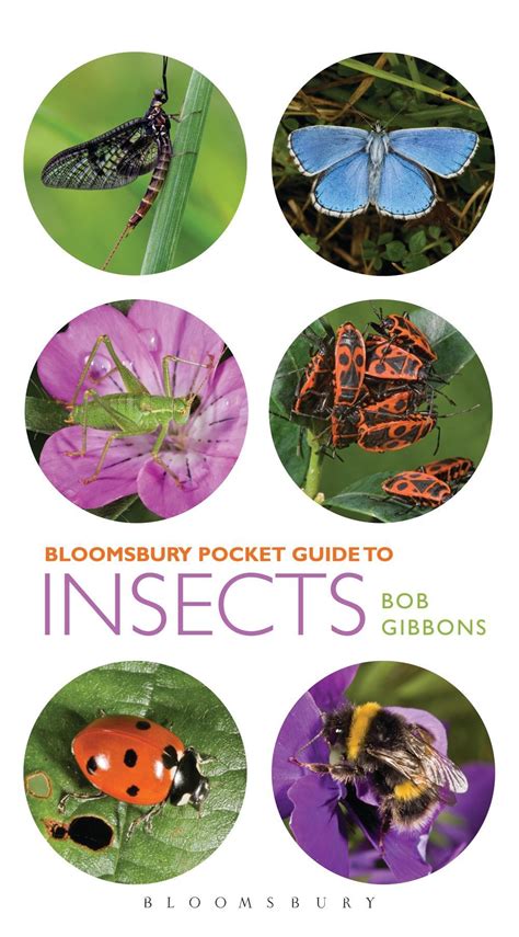 Pocket guide to insects bob gibbons. - Peugeot 206 14 hdi manuale d'officina.
