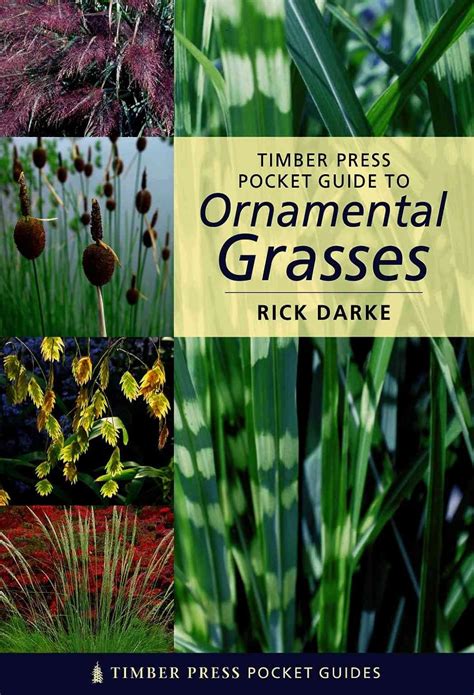 Pocket guide to ornamental grasses timber press pocket guides. - Html to madcap flare a guide to automating content migration and maintenance.