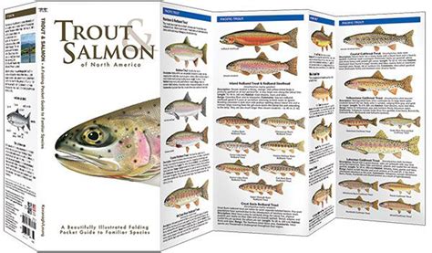 Pocket guide to trout & salmon flies (mitchell beazley pocket guides). - 1993 40 hp tracker outboard manual.