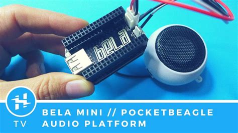 Pocketbeagle audio.  Whether you&rsquo;re an engineer, maker, educator, ...