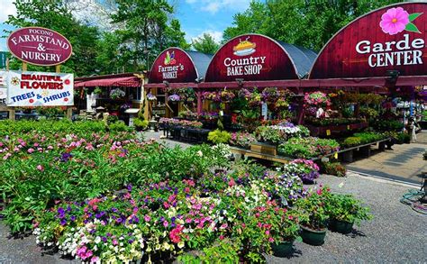 Pocono farm stand & nursery. Pocono Farm Stand & Nursery address is at 3013 Route 611 in Tannersville PA. The zip code is 18372. The information on this page related to Pocono Farm Stand & Nursery was regarded as valid when it was shared with Flower Shop Directory. To order flower delivery from this local florist, call them at (570) 629-4344. 