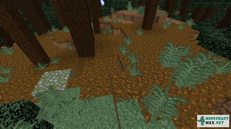 Podzol in Minecraft