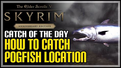 It is relatively easy to find and catch Pearlfish in Skyrim. Just west of the Dawnstar Sanctuary, you will find the best spot for Pearlfish. Here, you can swim into the water and catch them with your bare hands, or cast your line and earn your reward. Waiting 24 hours will replenish the fish in a given area. You can also find Pearlfish randomly .... 