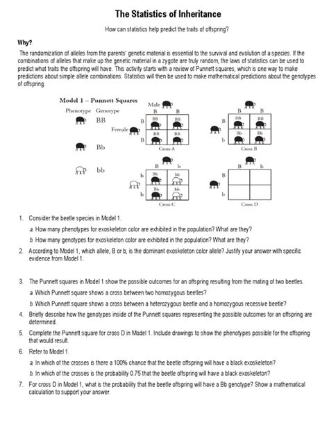 Pogil Of The Answer Inheritance Statistics Key