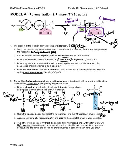 Pogil activities for ap biology protein structure. .  <a href=https://dmcf.me/assets/imag...