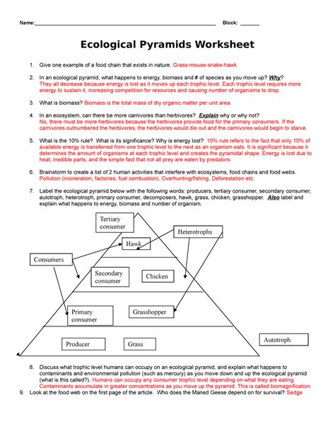 Ecological energy pyramid worksheet answer key Use this quiz and worksheet to see what you know about the three eco- Pyramid ecological theme file 1 moodle subject 1 lecture lesson 3 laws in thermodynamics and subject 2 law evaluation activities in termodynamic worksheet 1. Food Chain and Sheet Worksheets Webs on food chain and …. 