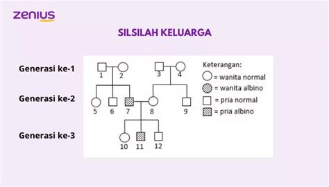 Hansaplast dus isi 100 lembar