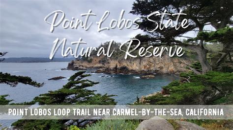 Point lobos loop trail. Point Lobos Loop Trail takes you on a coastal adventure along the gorgeous Pacific Ocean just miles south of Carmel-by-the-Sea and a quick drive from San Francisco or Big Sur. Visitors will encounter a variety of environments, flora, and fauna from lush Monterey pine and Cypress groves to coastal shrub-covered coastline with … 