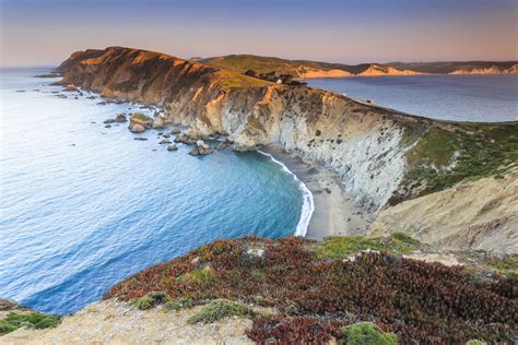 Point reyes national park. Point Reyes National Seashore is one of only 10 national seashores in the National Park Service (NPS) system and the only national seashore on the west coast. Surrounded almost entirely by the Pacific Ocean, Tomales Bay, and Drakes Estero, water and marine life play a key role in the climate and ecosystems of … 