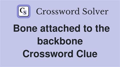 Point to plain disorder of the backbone - Crossword Clue, Answer …