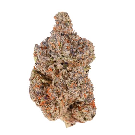 low THC high THC. Guava Gelato is a Gelato phenotype from Sherbinkski. This genetic expression of the Gelato lineage delivers a unique terpene profile steeped in creamy, tropical aromas with .... 