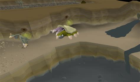 Poison waste dungeon osrs. Warped Terrorbirds are creatures found in the Poison Waste Dungeon beneath the Galarpos Mountains, requiring completion of The Path of Glouphrie and level 56 Slayer to kill. It is recommended for the players to wear earmuffs or a Slayer helmet while fighting them in order to reduce damage and avoid chip damage through protection prayer from their ranging attacks. Players must have the crystal ... 