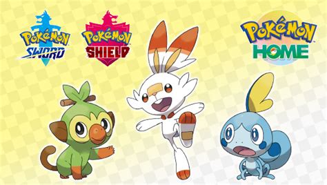 Pokémon HOME: How to get Hidden Ability Scorbunny, Grookey