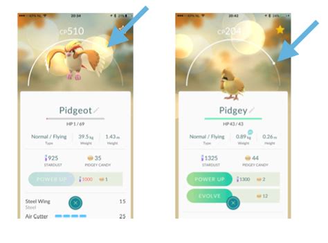 Pokemon Evrimleri Pokemon Go Egitmeni. 