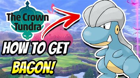 Pokemon Sword and Shield Bagon Locations, Moves, …