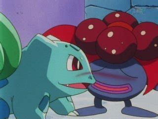 Pokenips Leaks +18 55 Vids