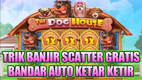 Pola gacor the dog house. Ini live tercepat.