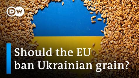 Poland, Hungary, Slovakia impose own Ukraine grain bans after EU measure is lifted