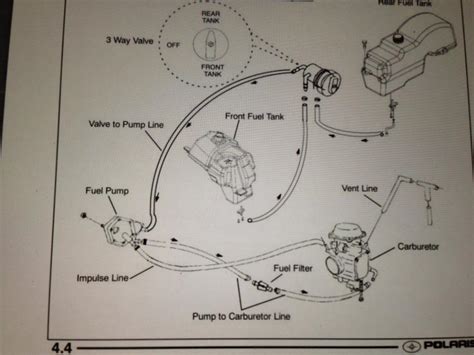 Polaris indy 500 fuel injection system manual. - Rośliny naczyniowe grupy pilska w beskidzie żywieckim.