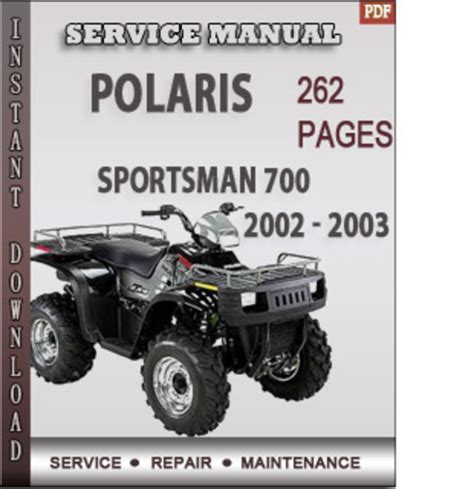 Polaris sportsman 700 full service repair manual 2002 2003. - Marc chagall und die kunst der ikonen.