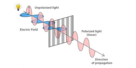 Polarisation Of Light