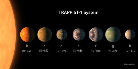 Polarization of Trappist-1 by the Transit of Its Planets