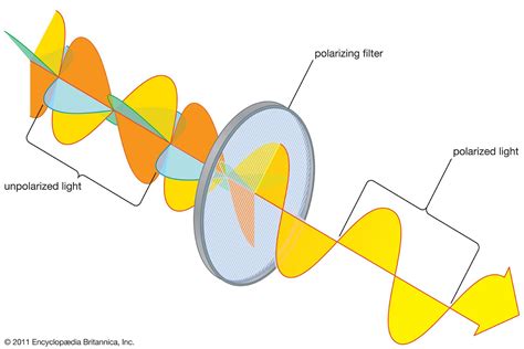 Polarized Definition & Meaning - Merriam-Webster