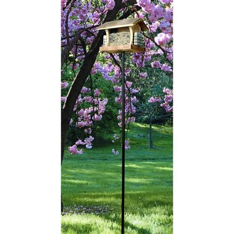 Pole For Mounting Bird House Wayfair