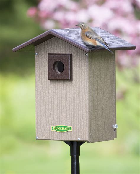 Pole mount bird house. Pole mount bird houses allow the house to be placed in the safest possible location to protect birds from predators–at the top of a tall pole. These type of houses also allow for maximum impact in your yard, making it easy for backyard bird watche... 
