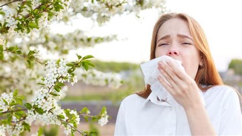 Polen alerjisi evde tedavisi