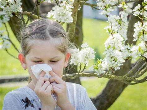 Polen alerjisi ne iyi gelir