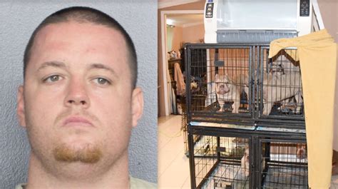 Police arrest 30-year-old man accused of trafficking drugs, having puppy mill at mobile home in Davie