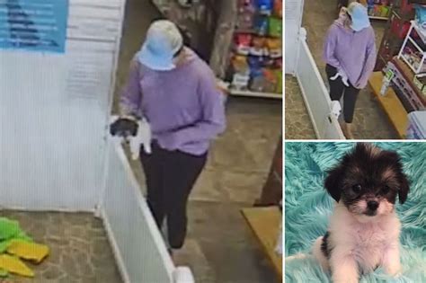 Police arrest woman caught on camera stealing puppy from Doral pet store
