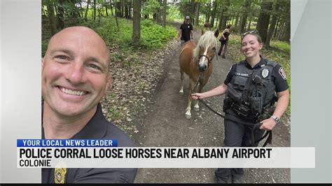 Police corral loose horses near Albany airport