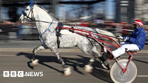 Police deployed to halt Hampshire horse-and-trap racing