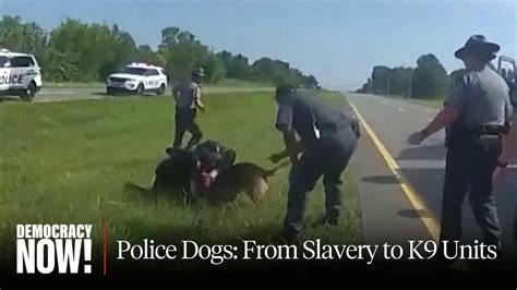 Police dog’s attack on Black trucker in Ohio echoes history
