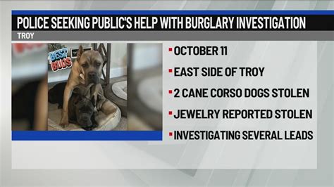 Police investigating theft of two dogs stolen from Troy home