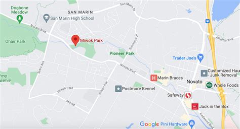 Police report sighting of bear with 2 cubs at Marin County park