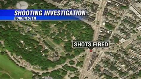 Police respond to shots fired in Dorchester