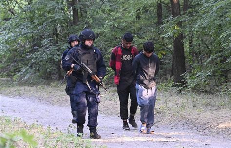 Police round up migrants in Serbia and report finding weapons in raid of a border area with Hungary