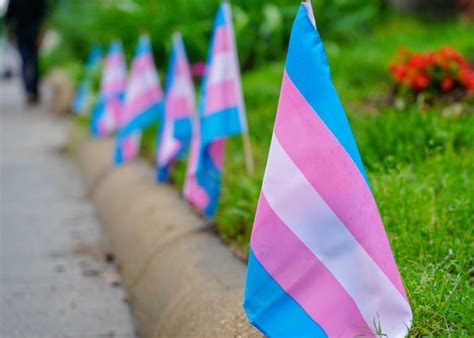 Police say man charged with hate crime demanded that TPS take down transgender flag from city property